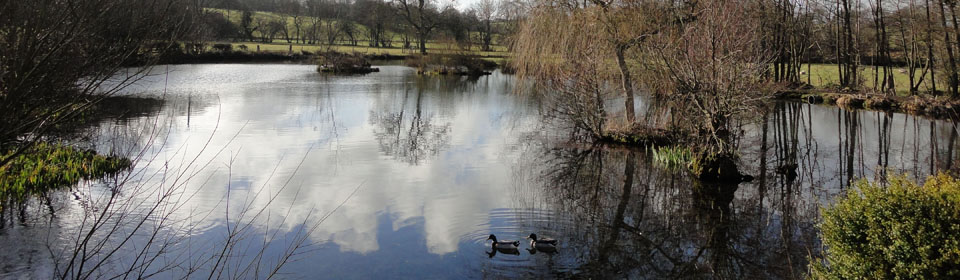 Three Wells Lake
